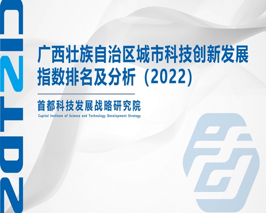 被大鸡吧干视频网站【成果发布】广西壮族自治区城市科技创新发展指数排名及分析（2022）